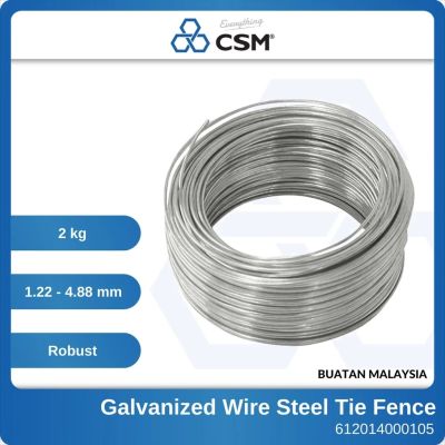 CSM 2kg GI WireGalvanized Wire Dawai Besi SWG Tahan Karat Testing